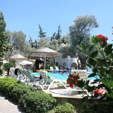 Toloman Bitezpark Apartments Bodrum Eksteriør bilde